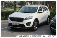 :: 세계판매1위의 품질 루마썬팅필름 ::