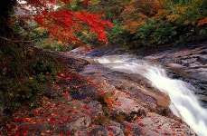 가을-2(사진) | 깔깔유머방 | 커뮤니티 - 팍스넷 증권포털