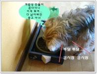 자투리 나무로 만든 원목 쟁반 손잡이들