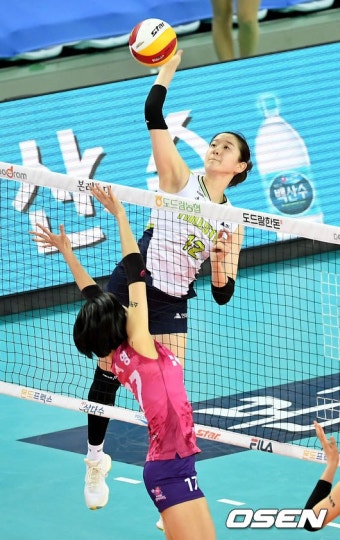 NO.1 축구 전문 미디어, 스포탈코리아