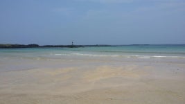 뽐뿌:여행포럼 - 제주도 북동부권, 우도 여행후기<경로기록, 사진포함> 제주도 북동부권, 우도 여행후기