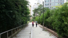 현충원길~허밍웨이길~서리골 서리풀 나들길 - 뽐뿌:등산포럼 현충원길~허밍웨이길~서리골 서리풀 나들길