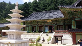 오대산 적멸보궁~선재길~전나무길 다녀왔습니다. - 뽐뿌:등산포럼 오대산 적멸보궁~선재길~전나무길 다녀왔습니다.