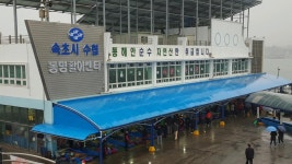 속초여행기 - 뽐뿌:여행포럼 속초여행기