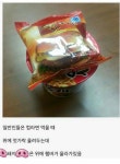 돼지들의 특징 | 보배드림 유머게시판