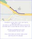 ● 상록수 신호 피하는 법 | 보배드림 유머게시판