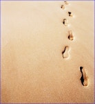 ● 수원에서 가장 살기 좋은 곳 | 보배드림 유머게시판