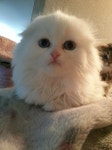 ㅃㄱㅈㅅ)2채널 블랙박스 추천부탁드립니다. | 보배드림 유머게시판