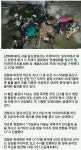 빡친 PC방 알바생 해고당하자 | 보배드림 유머게시판