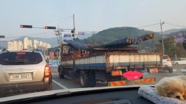 이거 적재불랑 신고될까요? | 보배드림 교통사고/사건/블랙박스