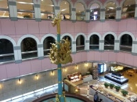 비도오고해서 | 보배드림 시승기/배틀/목격담