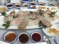 여기가 부산 맛집인가요? | 보배드림 시승기/배틀/목격담