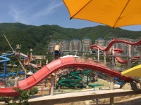 오션월드 왔네요!! | 보배드림 시승기/배틀/목격담