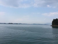 하루(24시간기준)에 주유 두번하시는 횽들있나요?? | 보배드림 시승기/배틀/목격담