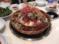 졸리네욘 - 보배드림 시승기/배틀/목격담