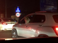해남 에서 안양 7시간 | 보배드림 시승기/배틀/목격담