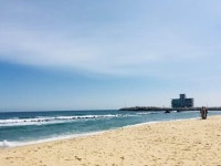 안목해변 왔습니더*_* | 보배드림 시승기/배틀/목격담