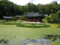 울진 투어 다녀왔습니다~^^ | 보배드림 시승기/배틀/목격담