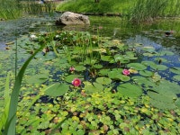 울진 투어 다녀왔습니다~^^ | 보배드림 시승기/배틀/목격담