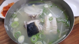 좃아재의 점심 | 보배드림 시승기/배틀/목격담