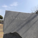 후원회원 몇몇과 함께 | 보배드림 시승기/배틀/목격담