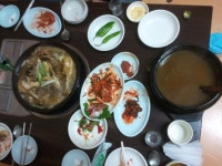 영광옻닭과회무침 | 보배드림 자유게시판