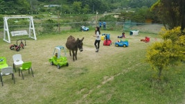 힐링하기 좋네요 | 보배드림 자유게시판