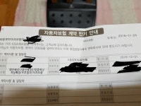 다이렉트보험좀봐주세요 | 보배드림 자유게시판