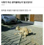 대천해수욕장 가는거 포기.. | 보배드림 자유게시판
