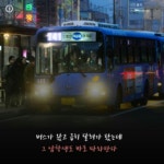 어덯게 생각 하십니까?? | 보배드림 자유게시판
