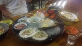 회 먹는다앗 | 보배드림 자유게시판