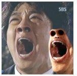 꼭 그렇게 | 보배드림 자유게시판