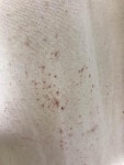 대신세탁소직권등록 | 질문요 엉아들..프렌차이즈세탁업체 관한 얘기입니다. | 보배드림 자유게시판