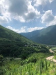 자연인 | 보배드림 자유게시판