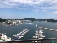 굿모닝~ | 보배드림 자유게시판