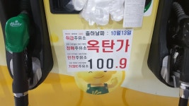 성지  다녀왔어요 | 보배드림 자유게시판