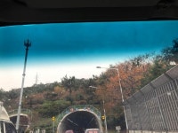 참 앞으로의  길 터널임미다 | 보배드림 자유게시판