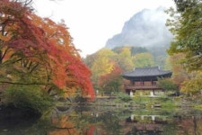 여기가 어디인지 알수있을까요?어디산인지 | 보배드림 자유게시판