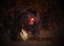 모두 굿밤되세요 | 보배드림 자유게시판