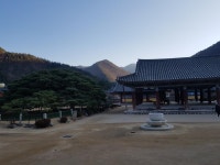 보배님추천으로 운문사다녀왓습니다~ | 보배드림 자유게시판