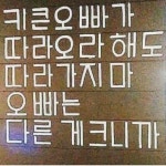 오늘의명언~ | 보배드림 자유게시판