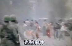 광주사건 | 보배드림 자유게시판