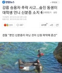 강릉추락사고 뜻밖의 반전 | 보배드림 자유게시판