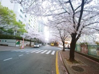 바쁘네요 | 보배드림 자유게시판