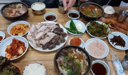 살 것 같드아... | 보배드림 자유게시판
