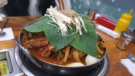 안녕히 주무세요~ | 보배드림 자유게시판