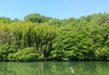 고향 가서 찍은 사진입니다 | 보배드림 자유게시판