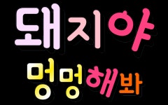 진짜 마지막 인증... ㄷㄷ;; | 보배드림 자유게시판