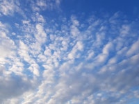 하늘 한번 보세요~~ | 보배드림 자유게시판