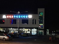 현재 서산 삼길포항인데 ㅋ | 보배드림 자유게시판